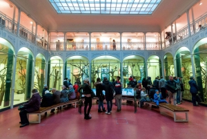 Wien: Tickets ohne Anstehen für den Tiergarten Schönbrunn