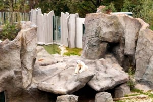 Wien: Schönbrunn Zoo – biljett & köföreträde till djurparken