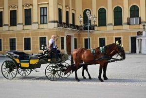 Viena: Excursão em grupo pequeno ao Palácio e Jardim de Schönbrunn