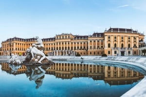 Viena: Excursão em grupo pequeno ao Palácio e Jardim de Schönbrunn