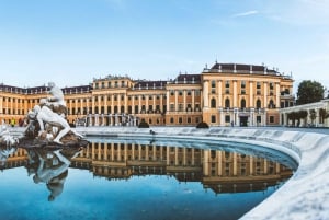 Wien: Liten grupp Schönbrunn Palace & Garden Tour