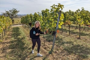 Wien: Kleingruppentour zur Weinverkostung mit Heurigen