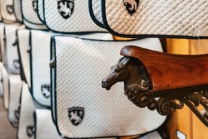 Wien: Espanjalainen ratsastuskoulu Opastettu arkkitehtuurikierros