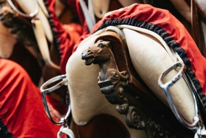 Wycieczka z przewodnikiem po hiszpańskiej szkole jazdy konnej w Wiedniu