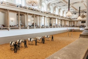 Wien: Spanische Hofreitschule - Training