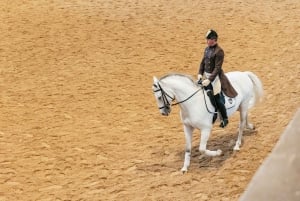 Vienna: allenamento alla Scuola d'Equitazione Spagnola