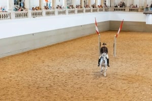 Viena: entrenamiento de la Escuela Española de Equitación