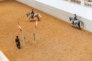 Wien: Se en treningsøkt på Den spanske rideskolen
