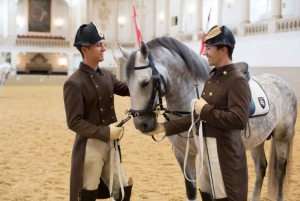 Vienna: Spanish Riding School Training