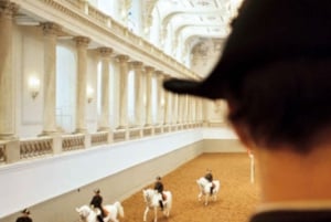 Vienna: Spanish Riding School Training
