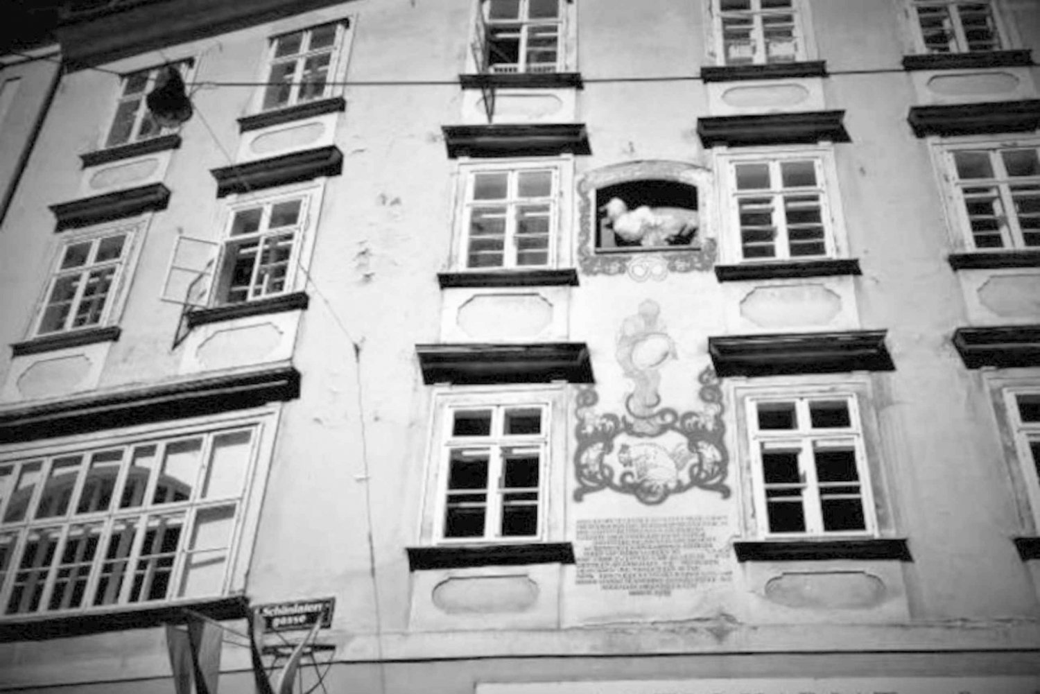 Vienne : visite sur les fantômes en anglais