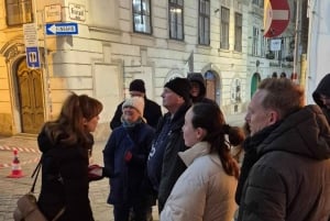 Wien: Spukhafte Geistertour auf Englisch