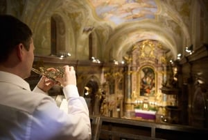 Vienna: biglietto per il concerto di Natale della chiesa di Sant'Anna