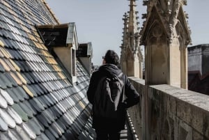 Wien: Guidet tur i Stephansdom