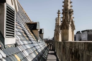 Wien: Guidet tur i Stephansdom