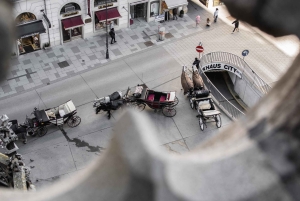 Wien: Guidet tur i Stephansdom