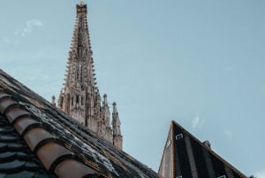 Wien: Guidet tur i Stephansdom