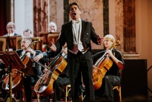 Wien: Strauss- og Mozart-koncert på Hofburg-paladset