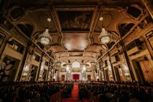 Viena: Concerto de Strauss e Mozart no Palácio de Hofburg