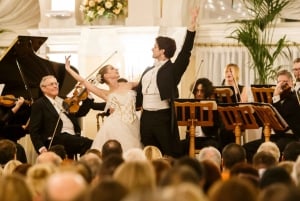 Wien: Strauss- och Mozartkonsert i Kursalon med middag