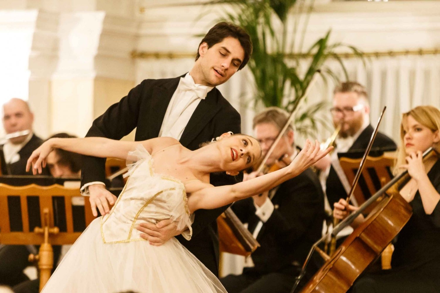 Vienna: Strauss & Mozart New Year's Concert