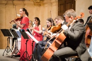 Wiens øverste orkester i Palais Niederösterreich