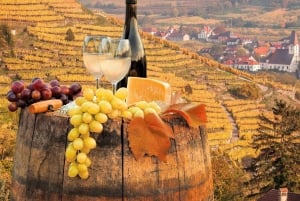 Vienna: Surroundings Sip & Savor Tour