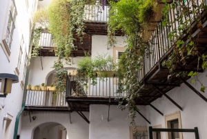 Vienna - the making of a Weltstadt - guided Citytour