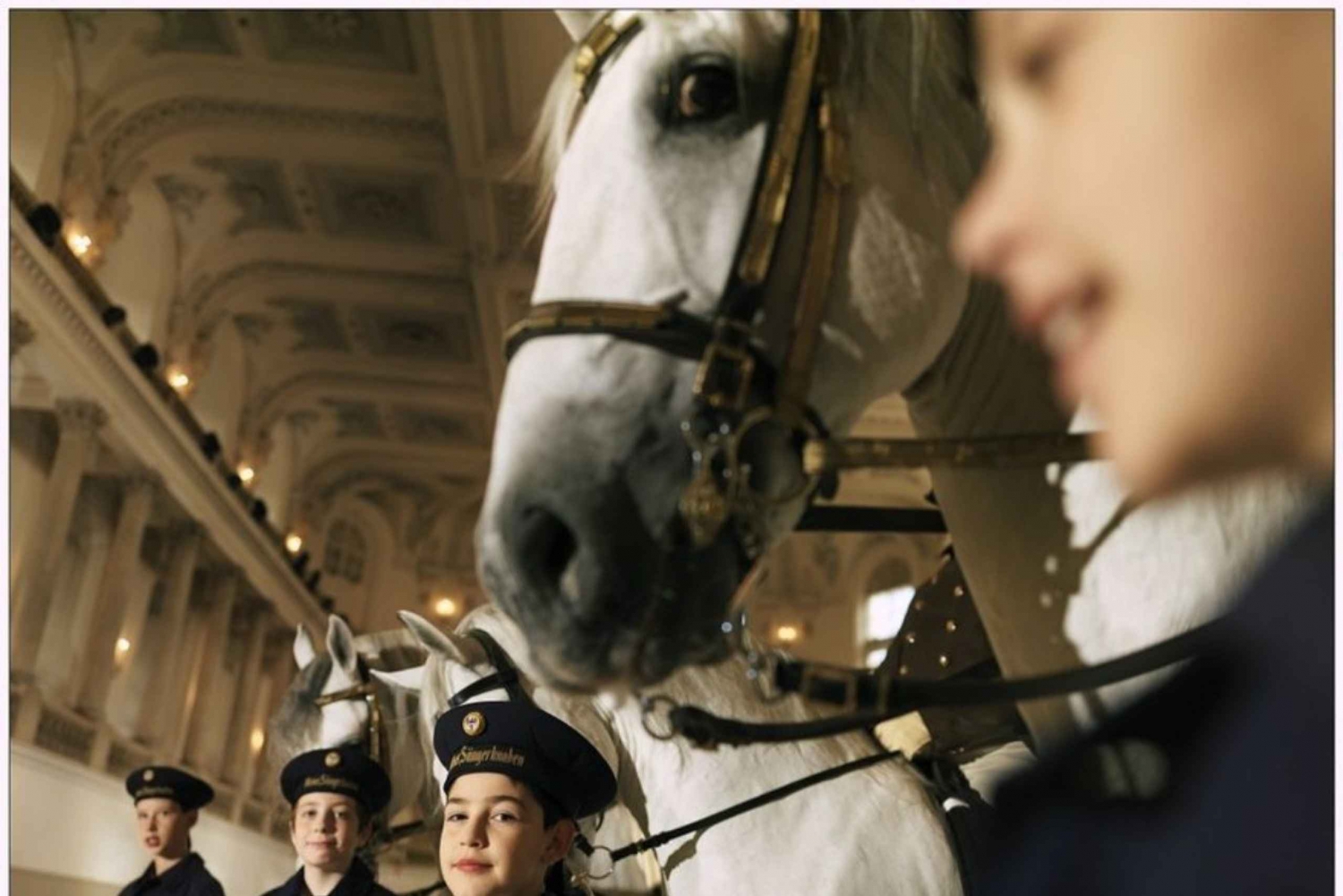 Vienna: The Spanish Riding School and the Vienna Boys' Choir