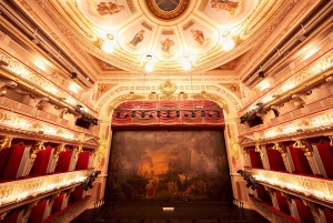 Wien: Theater an der Wien Backstage-rundtur