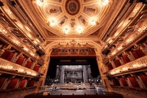 Wien: Theater an der Wien Backstage-rundtur
