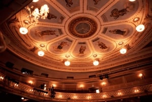 Wien: Theater an der Wien Backstage-rundtur