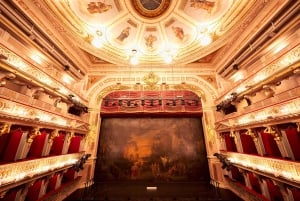 Wien: Theater an der Wien Backstage-rundtur