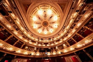 Wien: Theater an der Wien Backstage-rundtur