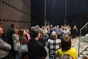Vienna: Theater an der Wien Backstage Tour