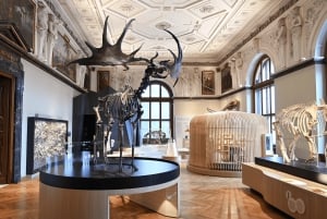 Viena: Ingresso Museu de História Natural