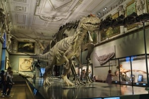Viena: Ingresso Museu de História Natural