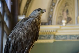 Viena: Ingresso Museu de História Natural