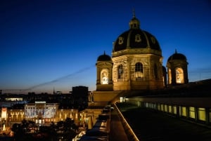 Viena: Ingresso Museu de História Natural