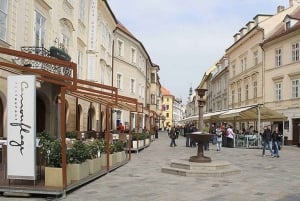 Vienna to Bratislava & Budapest Private Minivan Tour