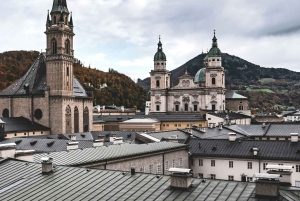 Vienna to Salzburg & Hallstatt: Scenic Alpine Day Tour