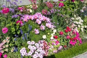 Wien till Schloss Hof Hoppa över kön Privat tur & transport