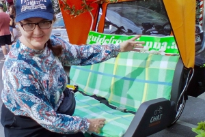 Vienna: Tour electric rickshaw with RAXI in Vienna