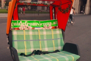 Vienna: Tour electric rickshaw with RAXI in Vienna
