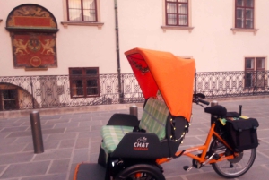 Vienna: Tour electric rickshaw with RAXI in Vienna