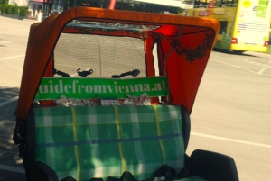 Vienna: Tour electric rickshaw with RAXI in Vienna
