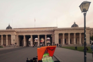 Vienna: Tour electric rickshaw with RAXI in Vienna