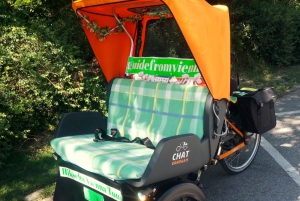 Vienna: Tour electric rickshaw with RAXI in Vienna