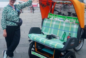Vienna: Tour electric rickshaw with RAXI in Vienna