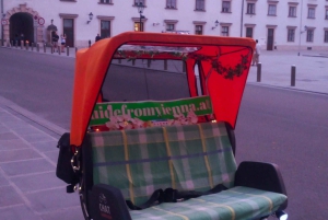 Vienna: Tour electric rickshaw with RAXI in Vienna